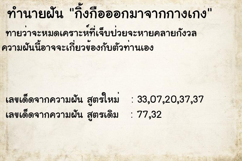 ทำนายฝันกิ้งกือออกมาจากกางเกง ทำนายฝันทำนายฝันกิ้งกือออกมาจากกางเกง