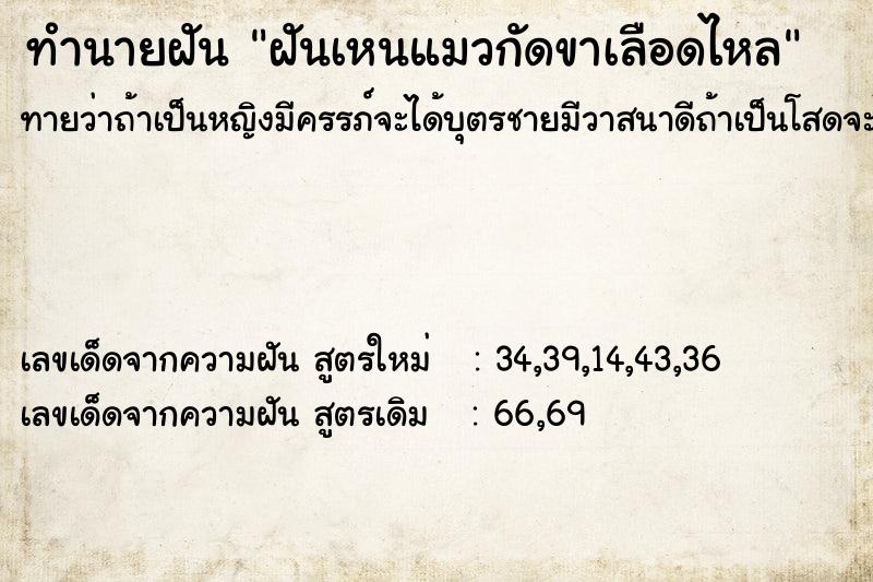 ทำนายฝันฝันเหนแมวกัดขาเลือดไหล ทำนายฝันทำนายฝันฝันเหนแมวกัดขาเลือดไหล