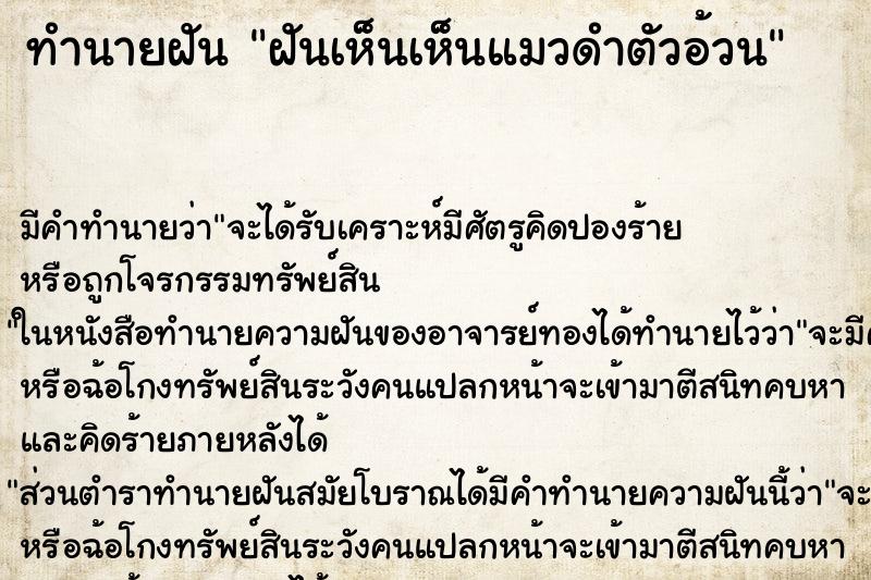 ทำนายฝัน ฝันเห็นเห็นแมวดำตัวอ้วน ทำนายฝัน ฝันเห็นเห็นแมวดำตัวอ้วน