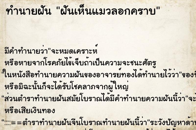 ทำนายฝันฝันเห็นแมวลอกคราบ ทำนายฝันทำนายฝันฝันเห็นแมวลอกคราบ