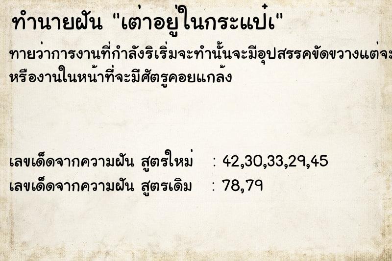 ทำนายฝันเต่าอยู่ในกระแป๋à ทำนายฝันทำนายฝันเต่าอยู่ในกระแป๋à