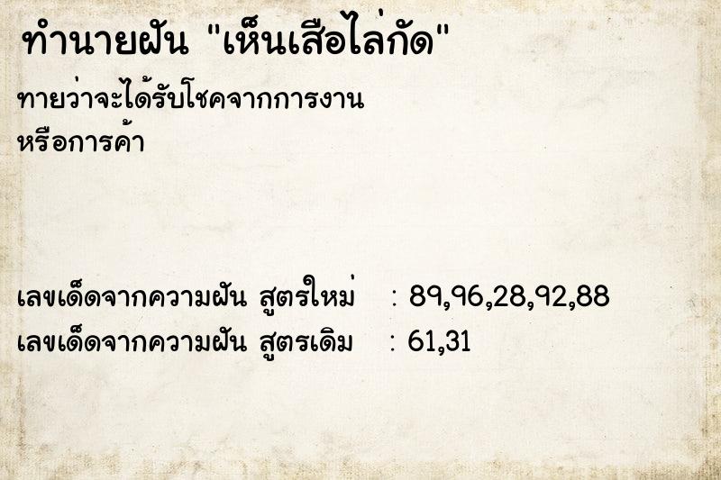 ทำนายฝันทำนายฝันเห็นเสือไล่กัด