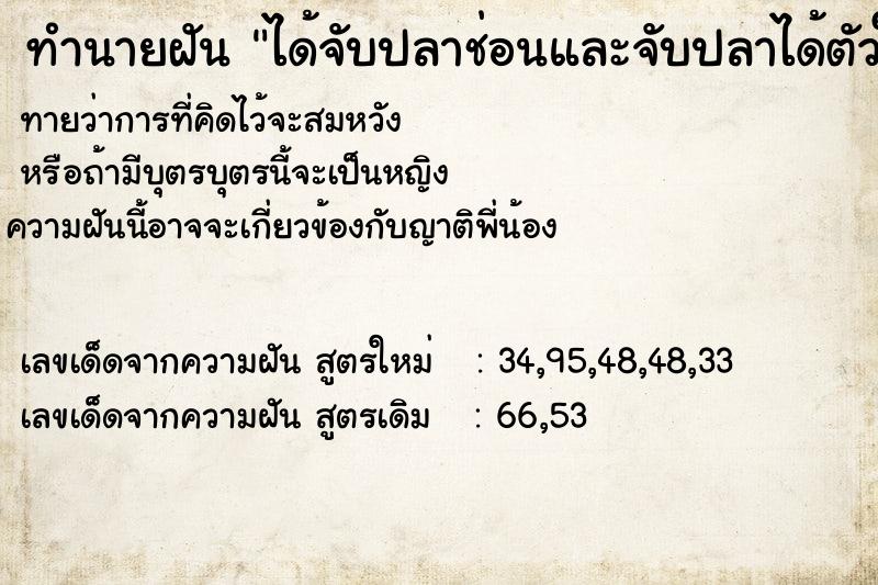 ทำนายฝันได้จับปลาช่อนและจับปลาได้ตัวใหญ่ ทำนายฝันทำนายฝันได้จับปลาช่อนและจับปลาได้ตัวใหญ่
