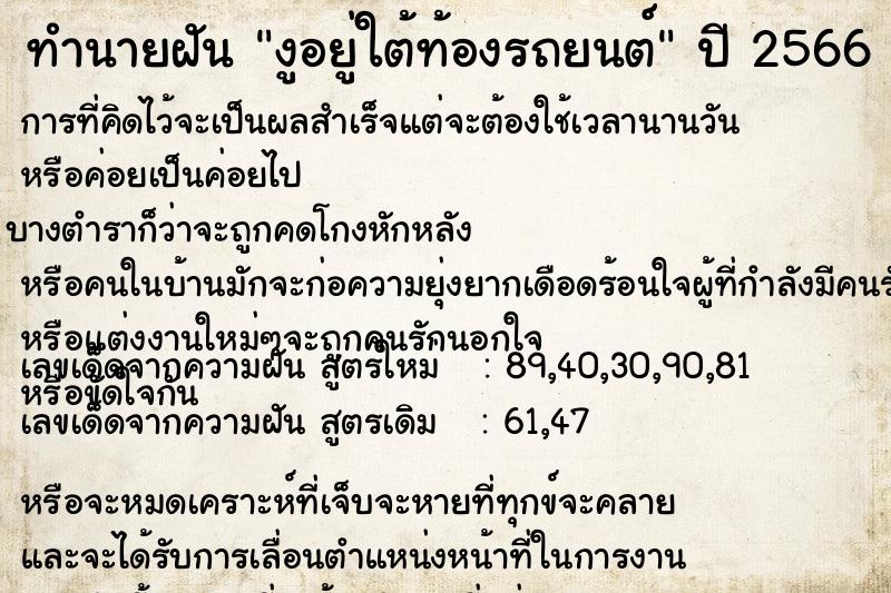 ทำนายฝัน งูอยู่ใต้ท้องรถยนต์ ทำนายฝัน งูอยู่ใต้ท้องรถยนต์