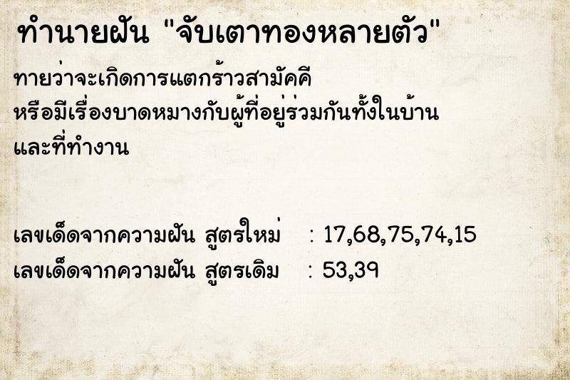 ทำนายฝันจับเตาทองหลายตัว ทำนายฝันทำนายฝันจับเตาทองหลายตัว