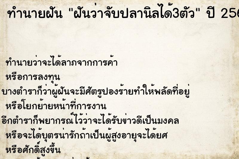 ทำนายฝันฝันว่าจับปลานิลได้3ตัว ทำนายฝันทำนายฝันฝันว่าจับปลานิลได้3ตัว