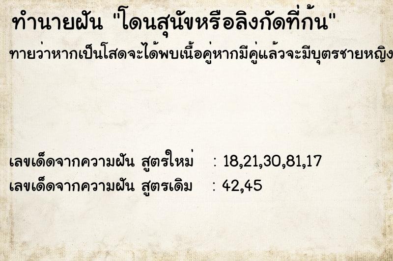 ทำนายฝันทำนายฝันโดนสุนัขหรือลิงกัดที่ก้น