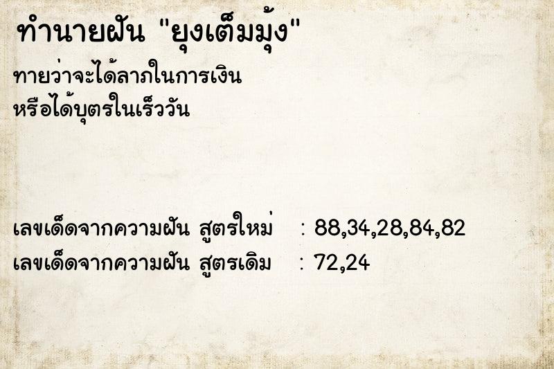 ทำนายฝันทำนายฝันยุงเต็มมุ้ง