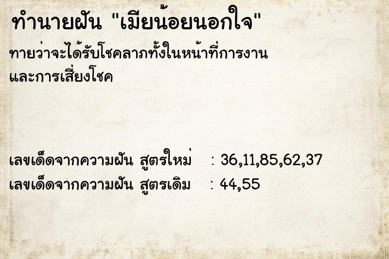 ทำนายฝันทำนายฝันเมียน้อยนอกใจ