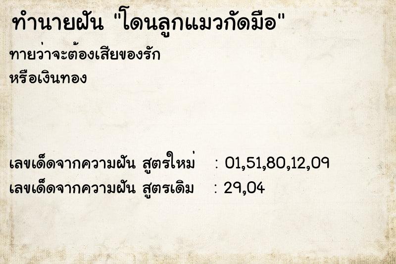 ทำนายฝัน โดนลูกแมวกัดมือ ทำนายฝัน โดนลูกแมวกัดมือ