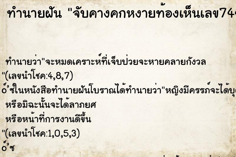 ทำนายฝันทำนายฝันจับคางคกหงายท้องเห็นเลข74438