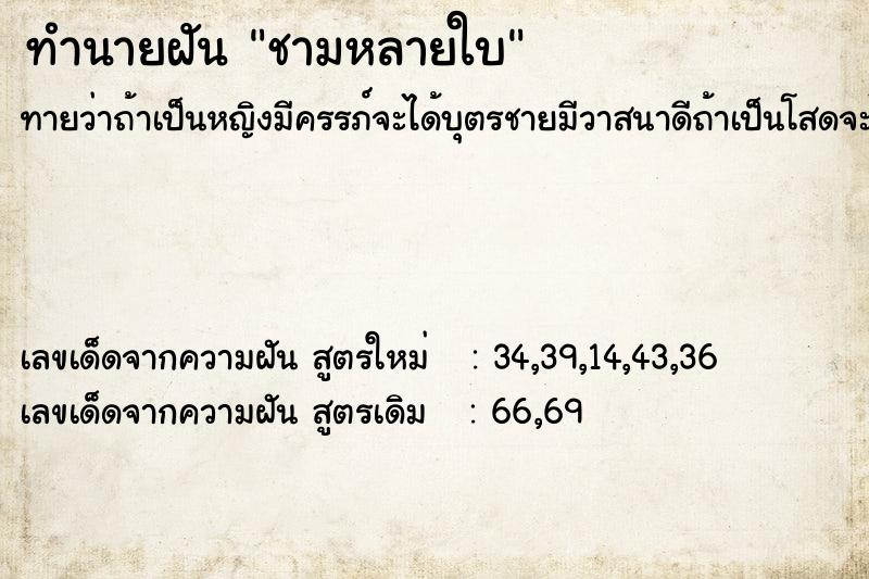 ทำนายฝันชามหลายใบ ทำนายฝันทำนายฝันชามหลายใบ