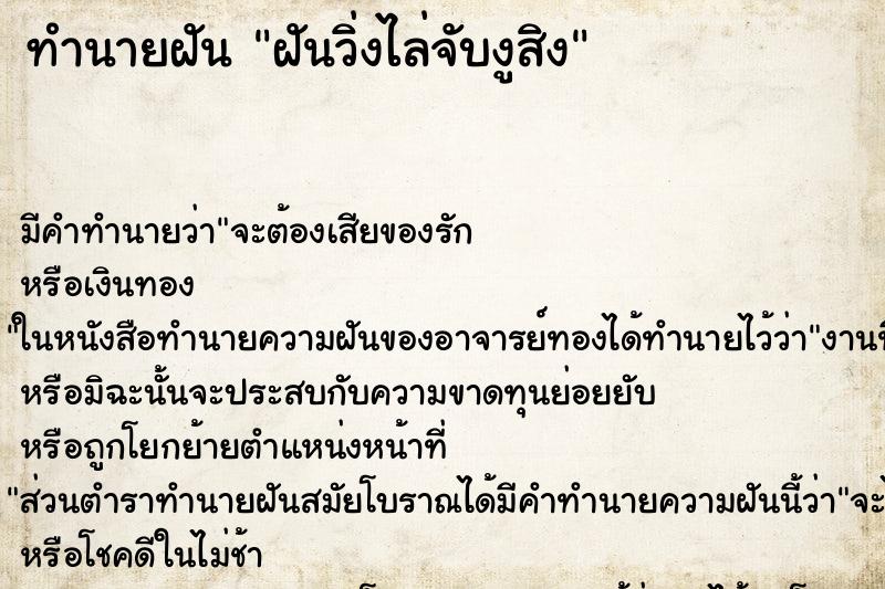 ทำนายฝัน ฝันวิ่งไล่จับงูสิง ทำนายฝัน ฝันวิ่งไล่จับงูสิง