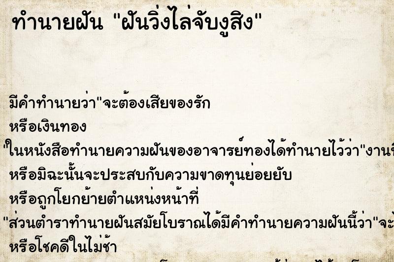 ทำนายฝัน ฝันวิ่งไล่จับงูสิง ตำราโบราณ แม่นที่สุดในโลก