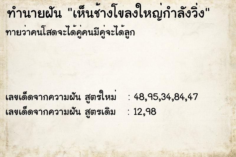 ทำนายฝันทำนายฝันเห็นช้างโขลงใหญ่กำลังวิ่ง