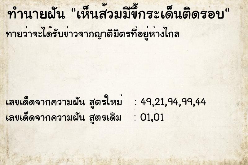 ทำนายฝันทำนายฝันเห็นส้วมมีขึ้กระเด็นติดรอบ