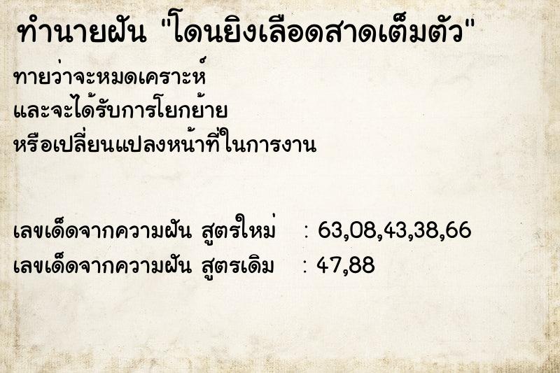 ทำนายฝัน โดนยิงเลือดสาดเต็มตัว ทำนายฝัน โดนยิงเลือดสาดเต็มตัว