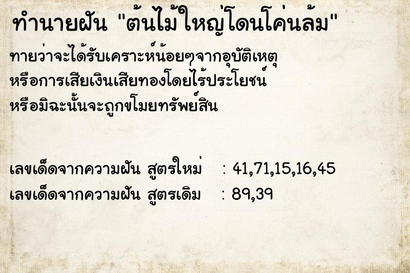 ทำนายฝันทำนายฝันต้นไม้ใหญ่โดนโค่นล้ม