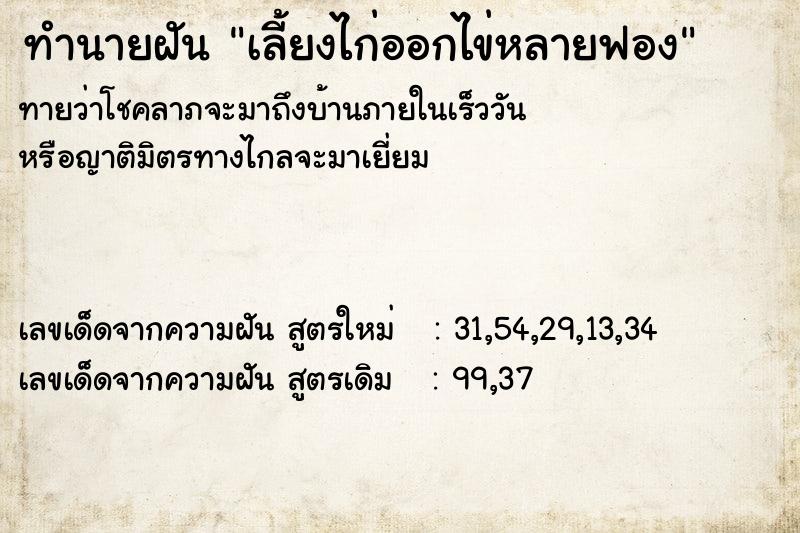 ทำนายฝันเลี้ยงไก่ออกไข่หลายฟอง ทำนายฝันทำนายฝันเลี้ยงไก่ออกไข่หลายฟอง