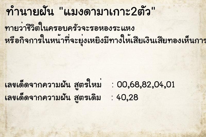 ทำนายฝันทำนายฝันแมงดามาเกาะ2ตัว