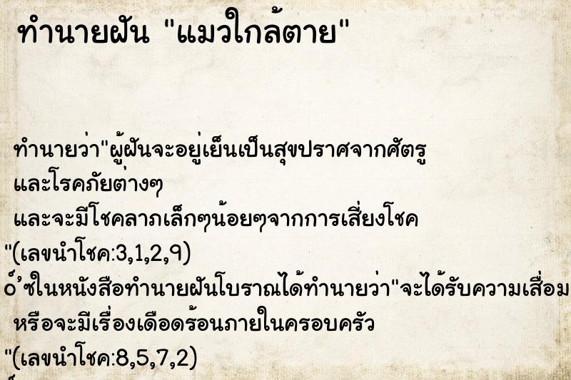 ทำนายฝันทำนายฝันแมวใกล้ตาย
