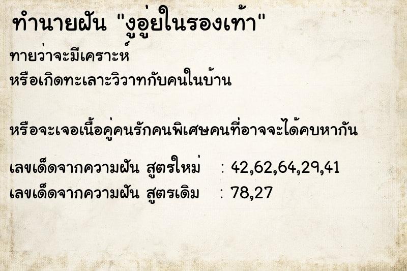 ทำนายฝันงูอู่ยในรองเท้า ทำนายฝันทำนายฝันงูอู่ยในรองเท้า