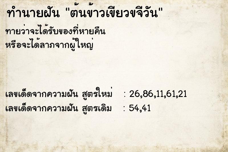 ทำนายฝันทำนายฝันต้นข้าวเขียวขจีวัน