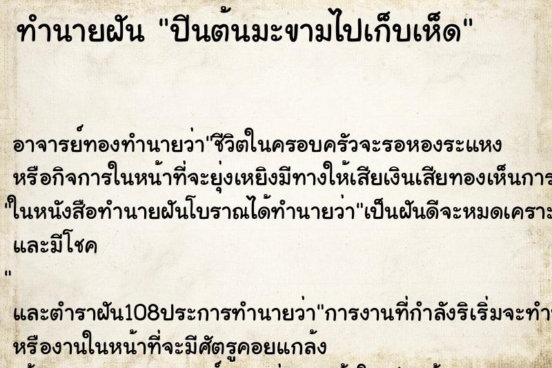 ทำนายฝันทำนายฝันปีนต้นมะขามไปเก็บเห็ด