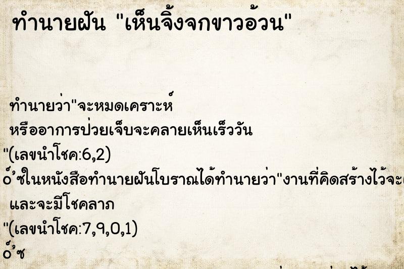 ทำนายฝัน เห็นจิ้งจกขาวอ้วน ทำนายฝัน เห็นจิ้งจกขาวอ้วน