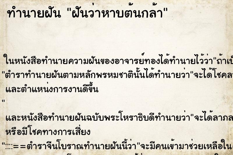 ทำนายฝัน ฝันว่าหาบต้นกล้า ทำนายฝัน ฝันว่าหาบต้นกล้า