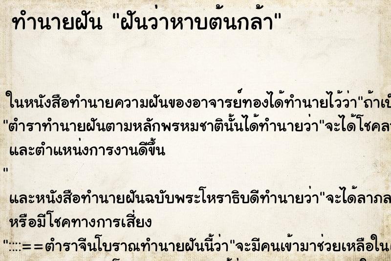 ทำนายฝัน ฝันว่าหาบต้นกล้า ตำราโบราณ แม่นที่สุดในโลก