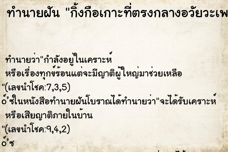 ทำนายฝัน กิ้งกือเกาะที่ตรงกลางอวัยวะเพศหญิง