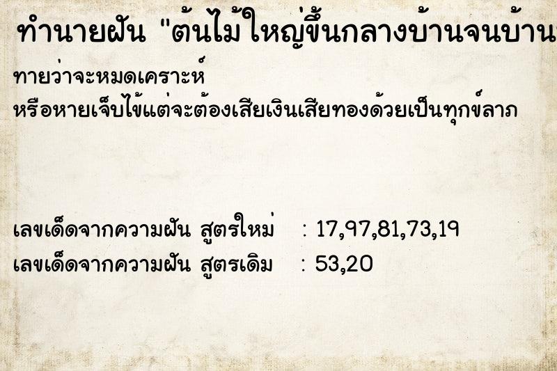 ทำนายฝันต้นไม้ใหญ่ขึ้นกลางบ้านจนบ้านพัง ทำนายฝันทำนายฝันต้นไม้ใหญ่ขึ้นกลางบ้านจนบ้านพัง