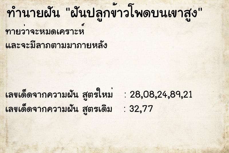 ทำนายฝันฝันปลูกข้าวโพดบนเขาสูง ทำนายฝันทำนายฝันฝันปลูกข้าวโพดบนเขาสูง