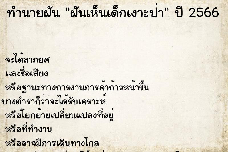 ทำนายฝันฝันเห็นเด็กเงาะป่า ทำนายฝันทำนายฝันฝันเห็นเด็กเงาะป่า