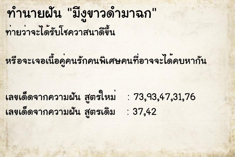 ทำนายฝัน มีงูขาวดำมาฉก ทำนายฝัน มีงูขาวดำมาฉก