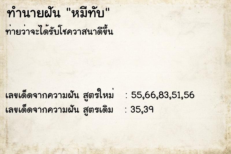 ทำนายฝันทำนายฝันหมีทับ