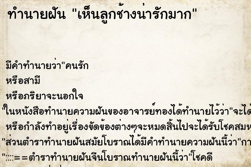 ทำนายฝัน เห็นลูกช้างน่ารักมาก ทำนายฝัน เห็นลูกช้างน่ารักมาก