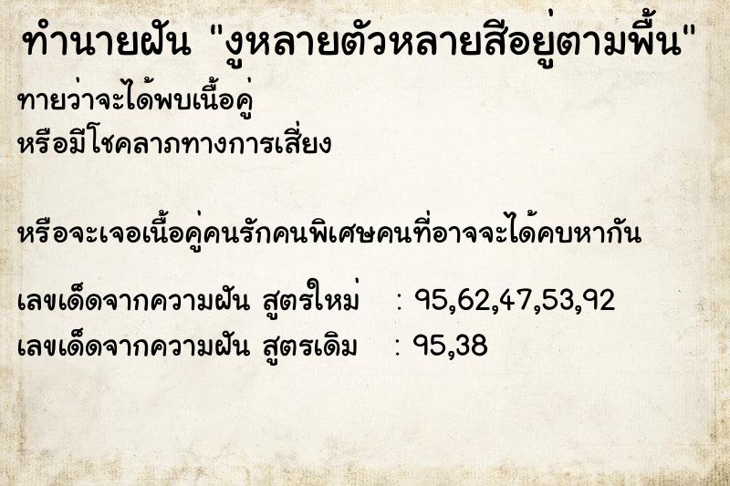 ทำนายฝันทำนายฝันงูหลายตัวหลายสีอยู่ตามพื้น