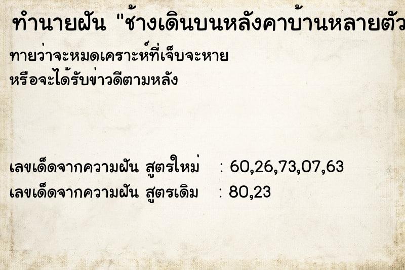 ทำนายฝันช้างเดินบนหลังคาบ้านหลายตัว ทำนายฝันทำนายฝันช้างเดินบนหลังคาบ้านหลายตัว