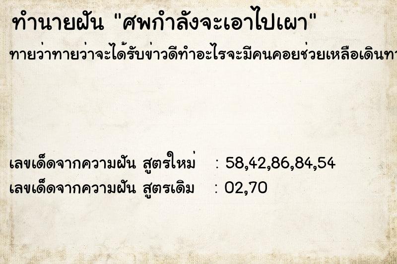 ทำนายฝันศพกำลังจะเอาไปเผา ทำนายฝันทำนายฝันศพกำลังจะเอาไปเผา