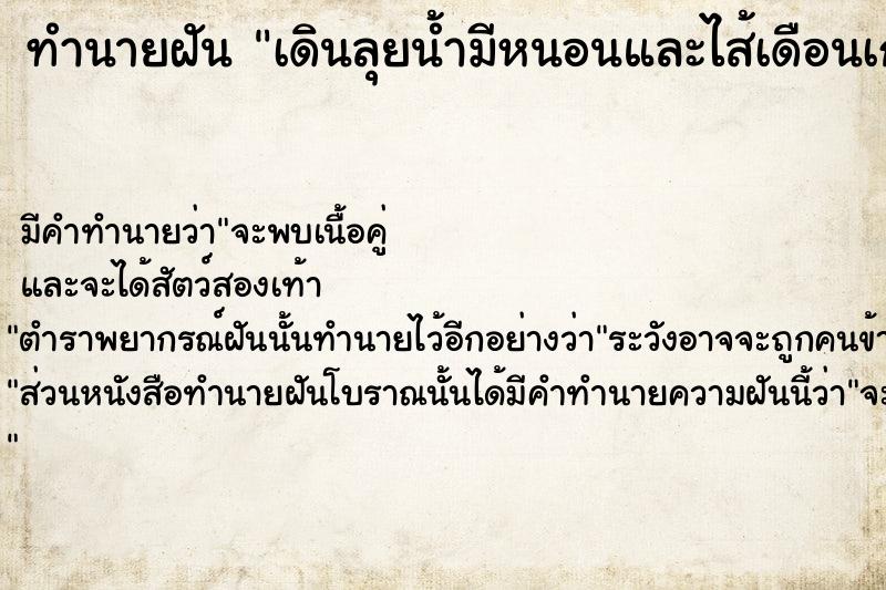 ทำนายฝันทำนายฝันเดินลุยน้ำมีหนอนและไส้เดือนเกาะเท้า