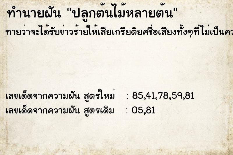 ทำนายฝัน ปลูกต้นไม้หลายต้น ทำนายฝัน ปลูกต้นไม้หลายต้น