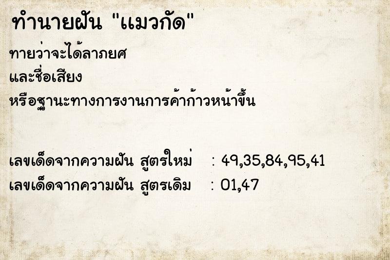 ทำนายฝัน เเมวกัด