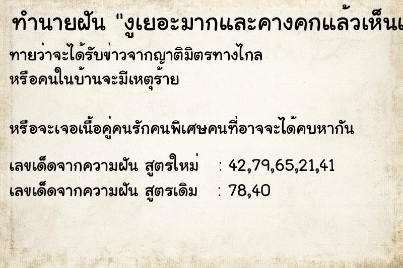 ทำนายฝันทำนายฝันงูเยอะมากและคางคกแล้วเห็นเลขหลังคางคก