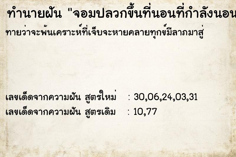 ทำนายฝันทำนายฝันจอมปลวกขึ้นที่นอนที่กำลังนอนอยู่