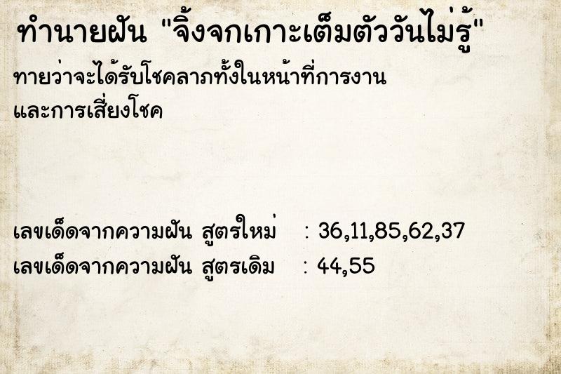 ทำนายฝันจิ้งจกเกาะเต็มตัววันไม่รู้ ทำนายฝันทำนายฝันจิ้งจกเกาะเต็มตัววันไม่รู้
