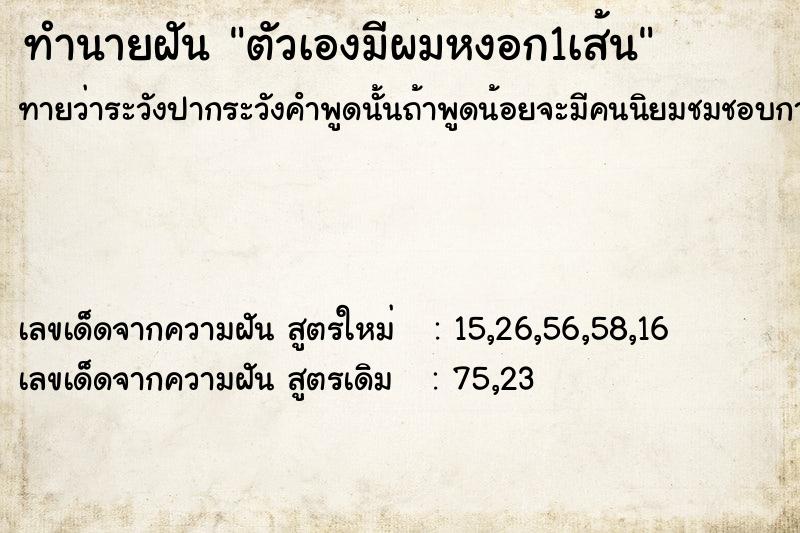 ทำนายฝัน ตัวเองมีผมหงอก1เส้น