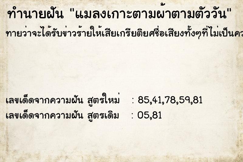 ทำนายฝันแมลงเกาะตามผ้าตามตัววัน ทำนายฝันทำนายฝันแมลงเกาะตามผ้าตามตัววัน