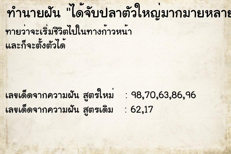ทำนายฝันได้จับปลาตัวใหญ่มากมายหลายตัว ทำนายฝันทำนายฝันได้จับปลาตัวใหญ่มากมายหลายตัว
